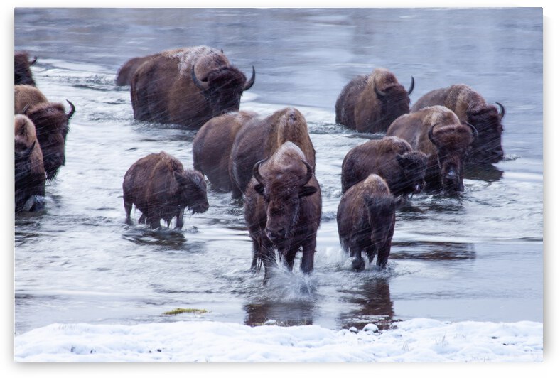 IMG 2895 by jshansen