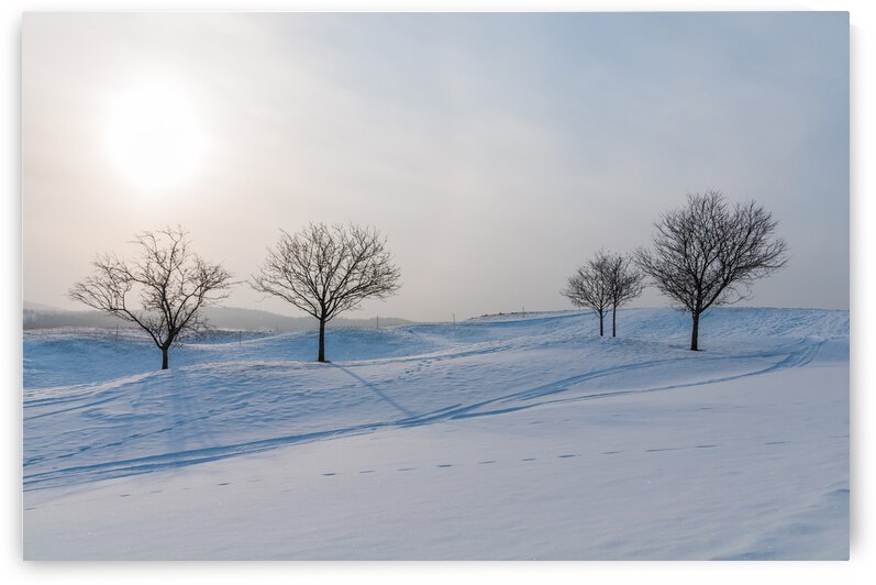 DL100203 07 by Don Landwehrle