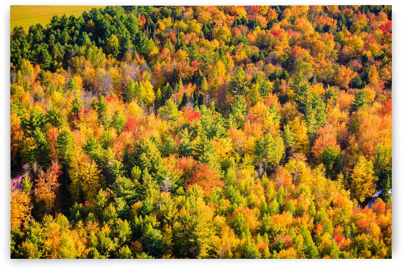 DL031010 005a by Don Landwehrle