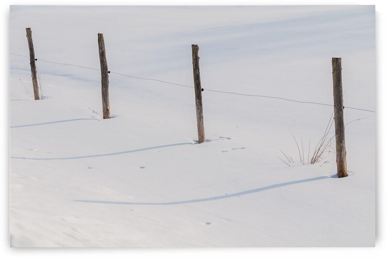 DL100203 49 by Don Landwehrle