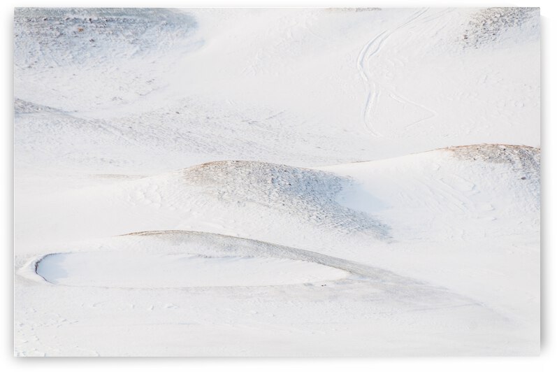 DL100203 24 by Don Landwehrle