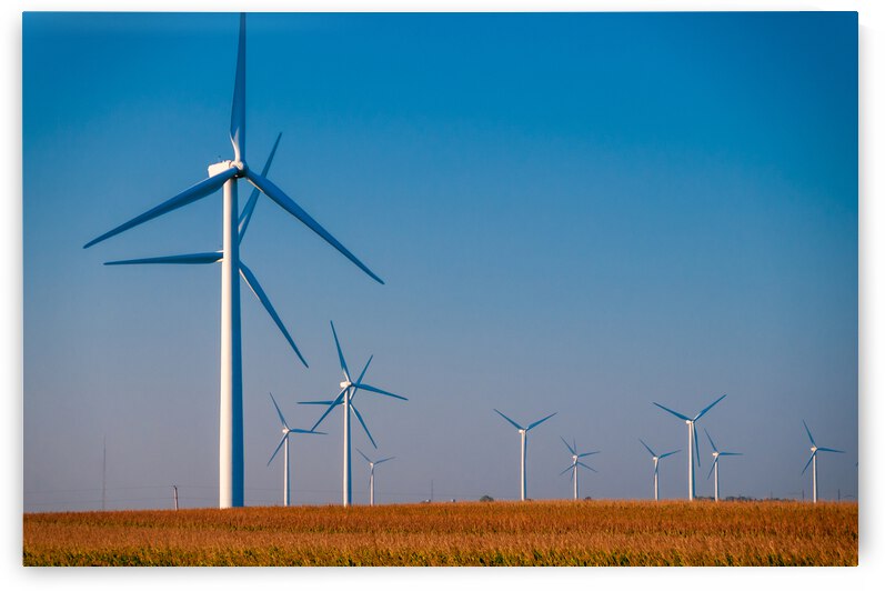 DL100823 003 by Don Landwehrle