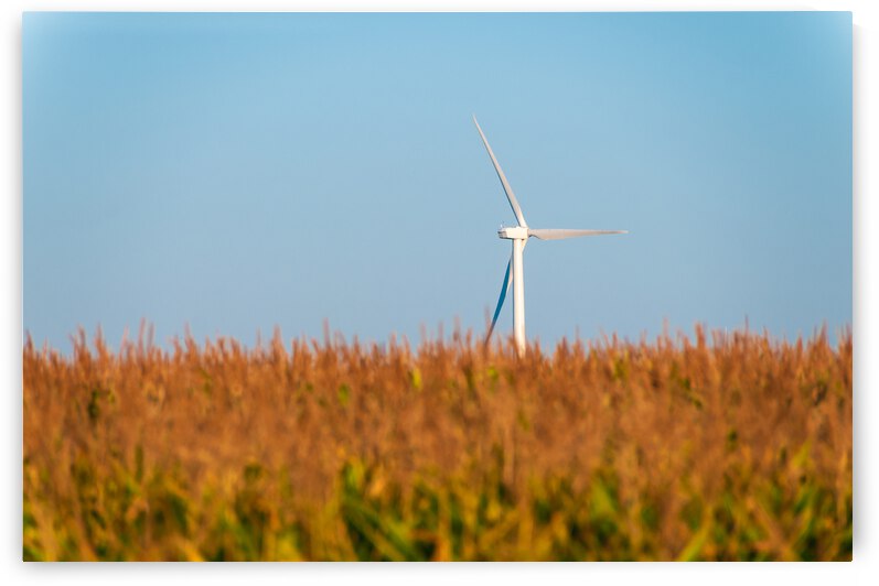 DL100823 016 by Don Landwehrle