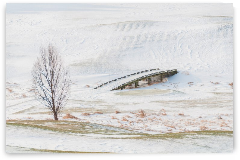 DL100203 25 by Don Landwehrle