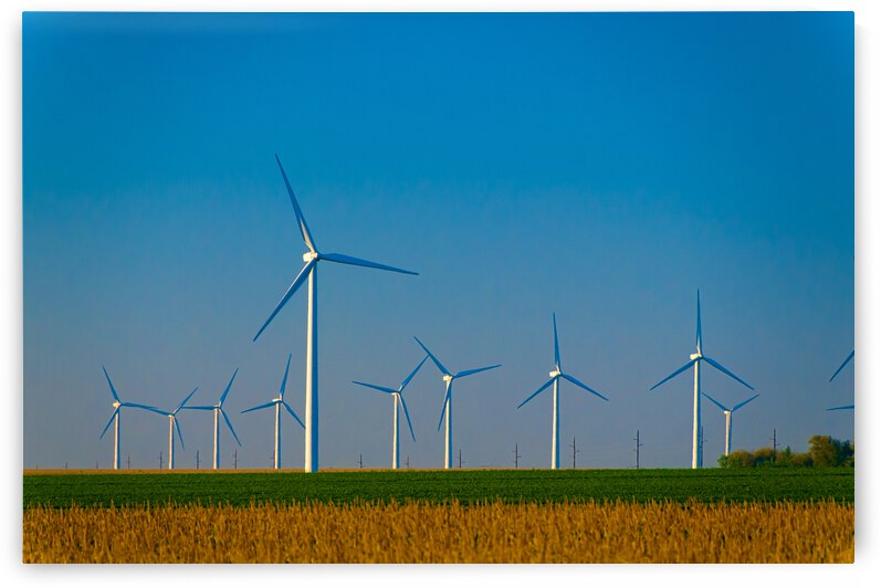 DL100823 026d by Don Landwehrle