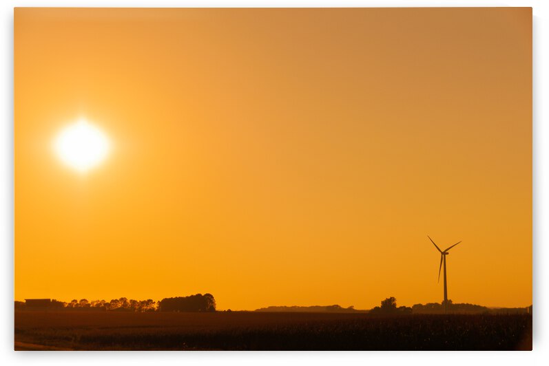 DL100823 019a by Don Landwehrle