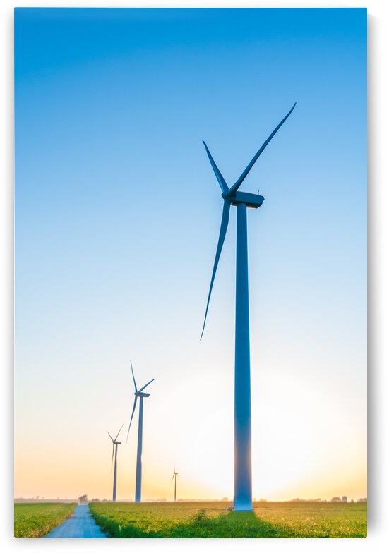 DL100823 101 by Don Landwehrle