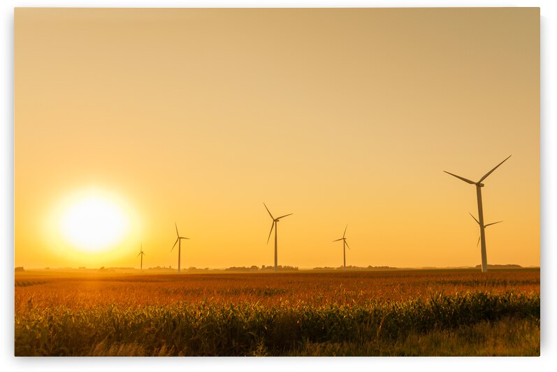 DL100823 048a by Don Landwehrle