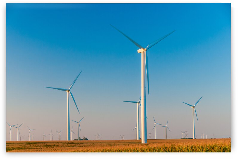 DL100823 055 by Don Landwehrle