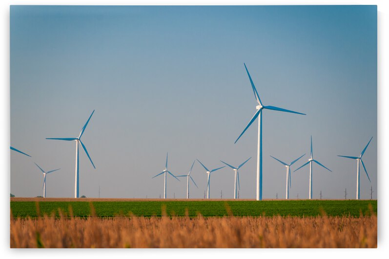 DL100823 036 by Don Landwehrle