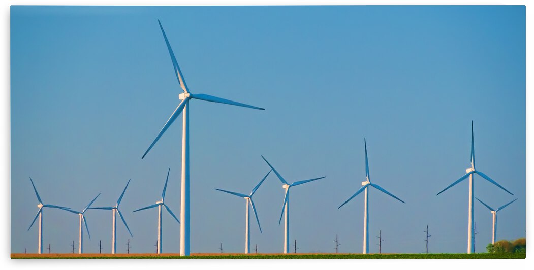 DL100823 026a by Don Landwehrle