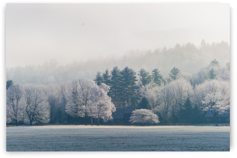 DL101103 236 by Don Landwehrle