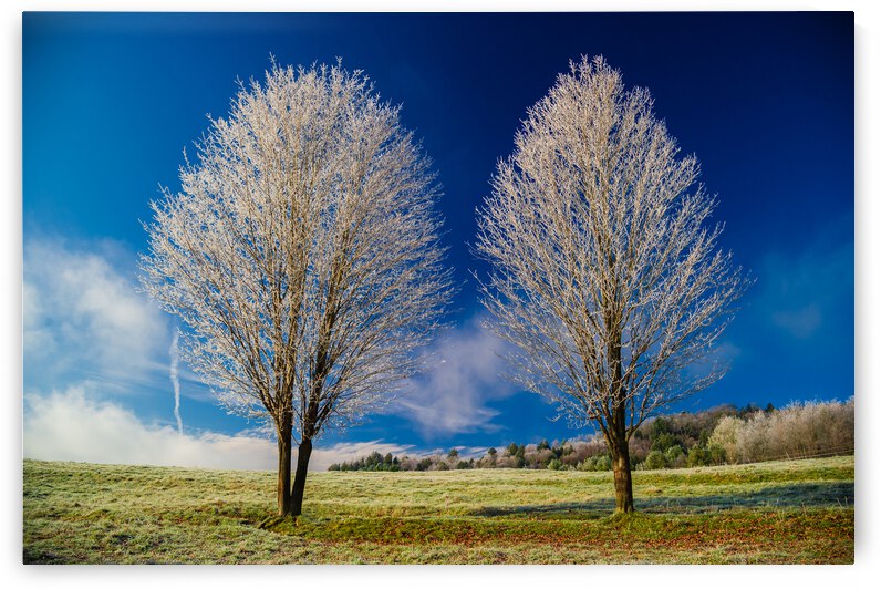 DL101103 298 by Don Landwehrle