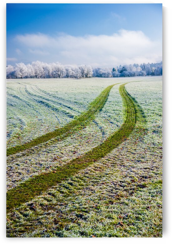 DL101103 342 by Don Landwehrle