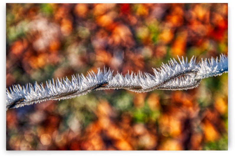 DL101103 285a by Don Landwehrle