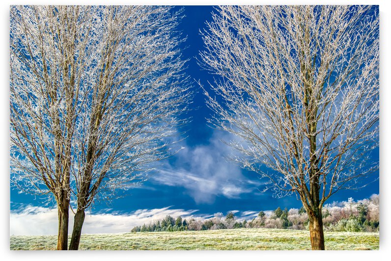 DL101103 296a by Don Landwehrle