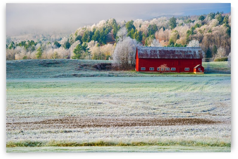 DL101103 217 by Don Landwehrle