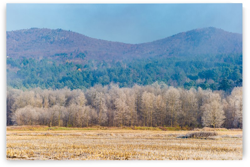 DL101103 230 by Don Landwehrle