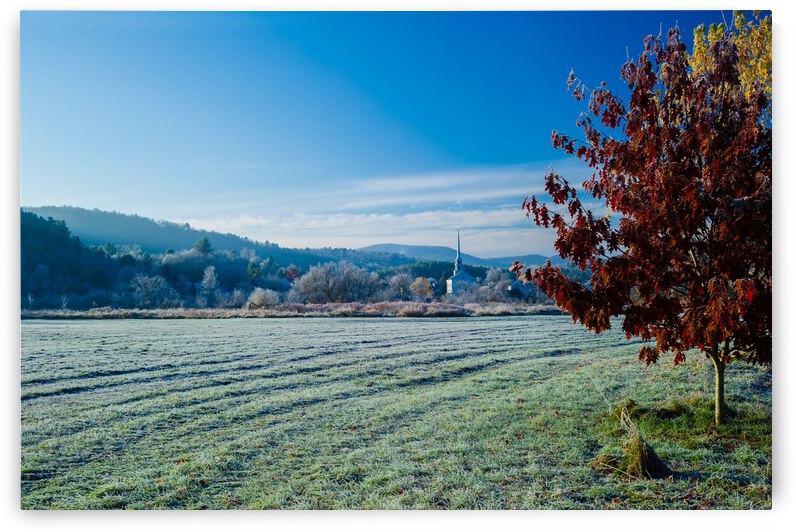 DL101103 142 by Don Landwehrle