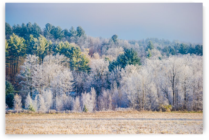 DL101103 225 by Don Landwehrle