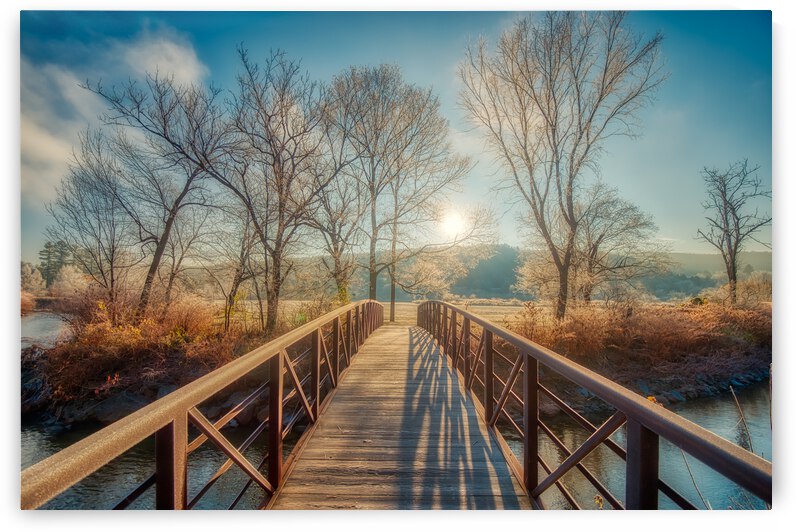 DL101103 124a by Don Landwehrle