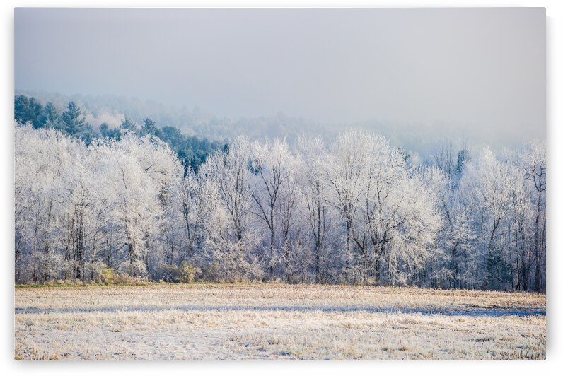 DL101103 226 by Don Landwehrle