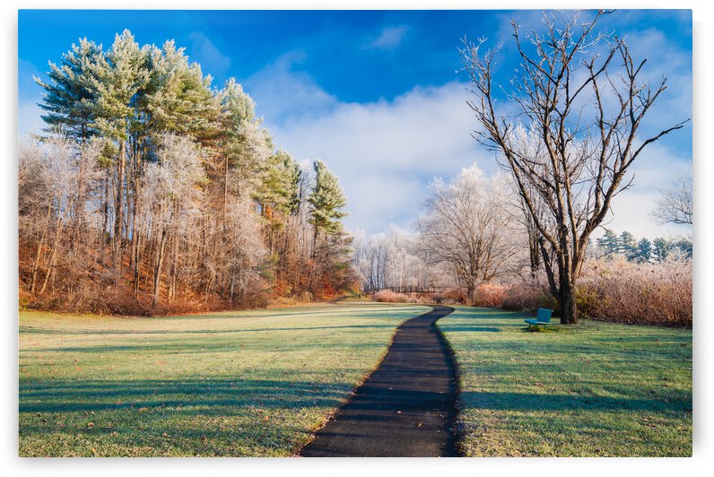 DL101103 084 by Don Landwehrle