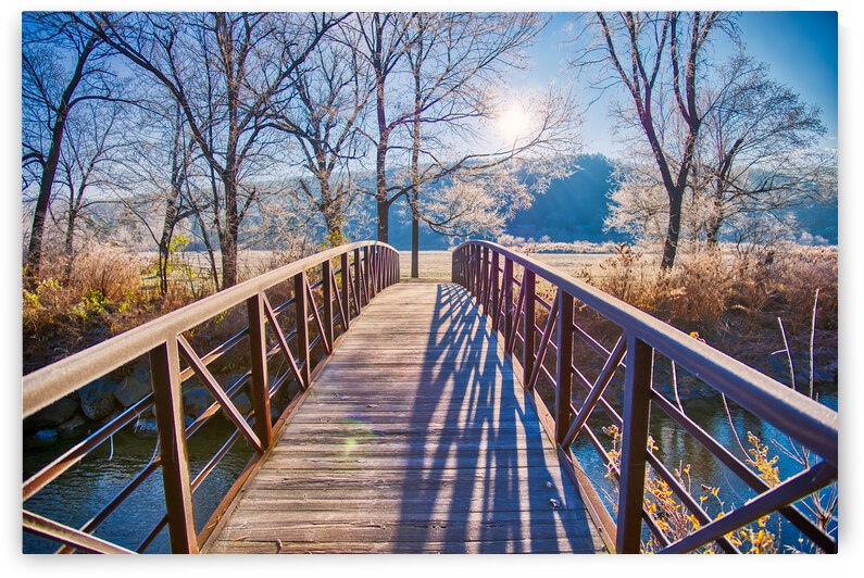 DL101103 111 by Don Landwehrle