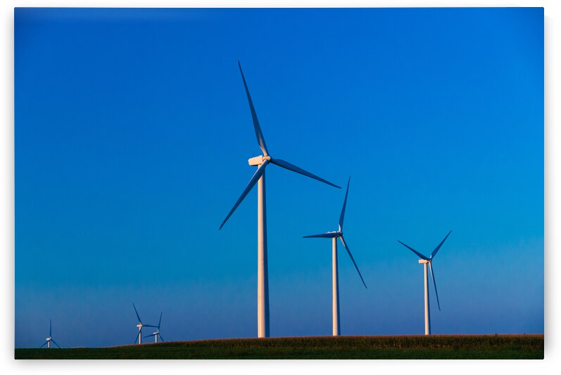 DL100823 124 by Don Landwehrle