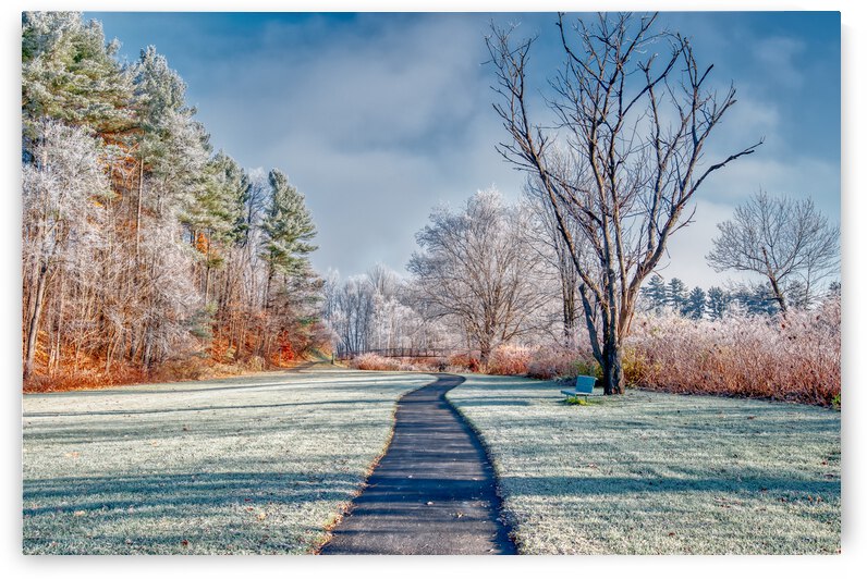 DL101103 081 by Don Landwehrle