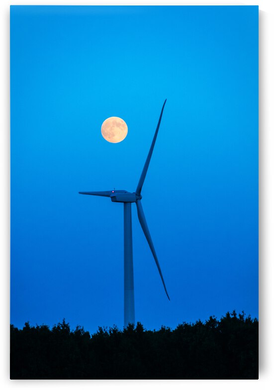 DL100823 163 by Don Landwehrle