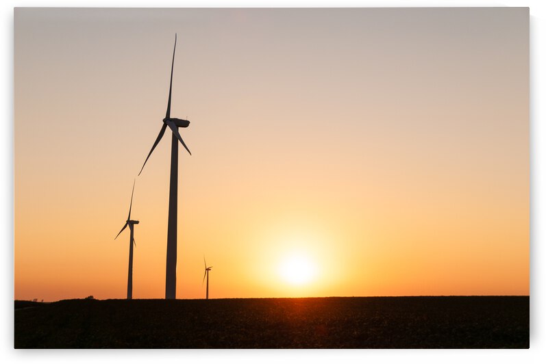 DL100823 134 by Don Landwehrle