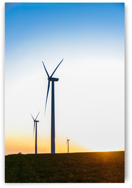 DL100823 131 by Don Landwehrle