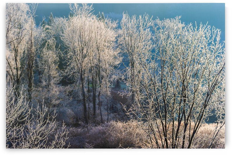 DL101103 019 by Don Landwehrle