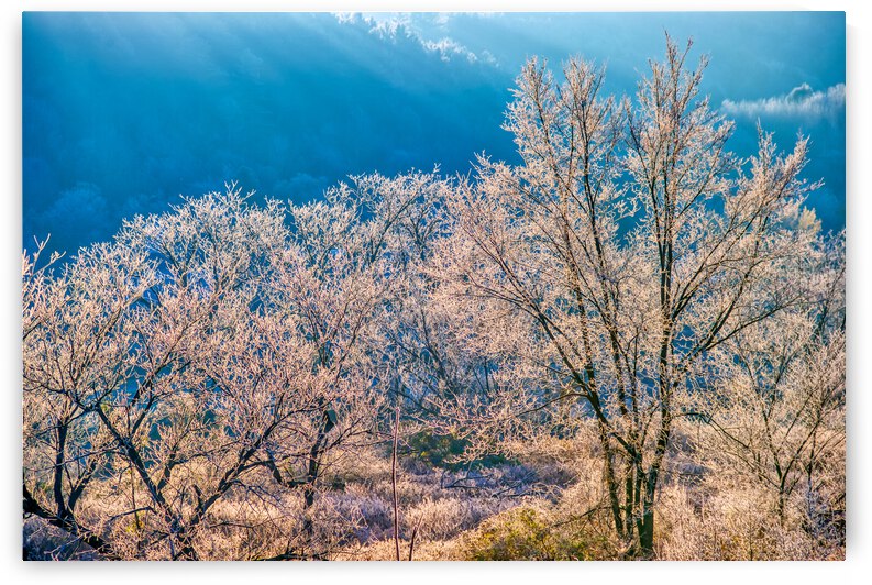 DL101103 057a by Don Landwehrle