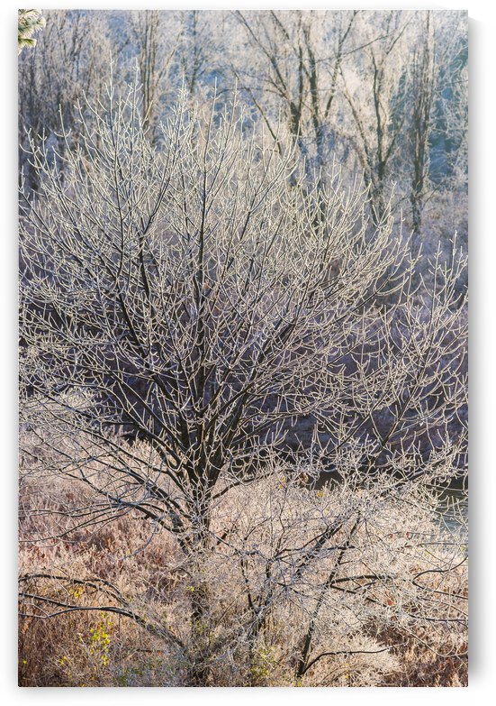 DL101103 025 by Don Landwehrle