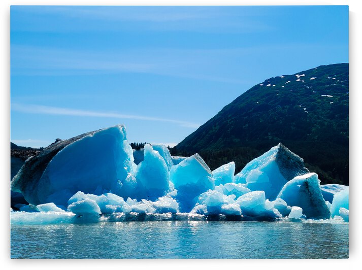 Spencer Glacier Alaska by Geneva Reed Photographic Art