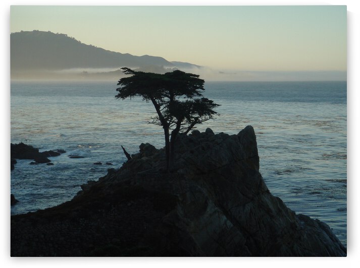 One Tree Island  by Wrangler Walker