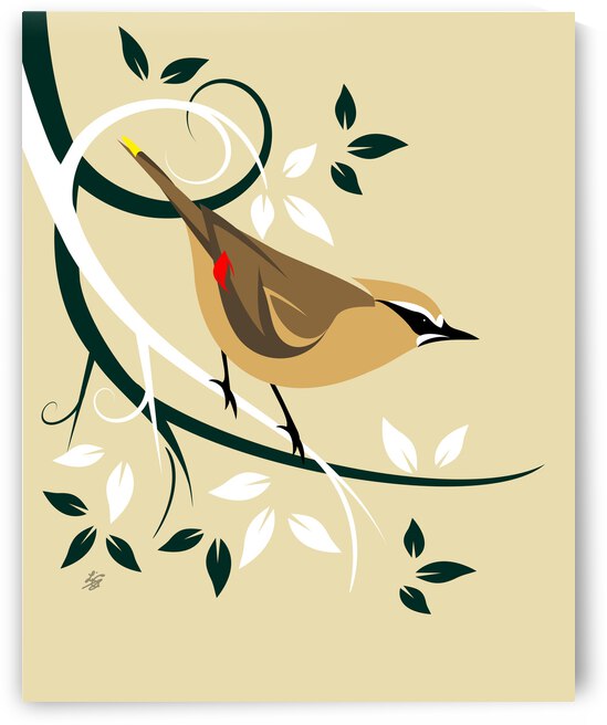 Stylized Cedar Waxwing by Liz Cereby