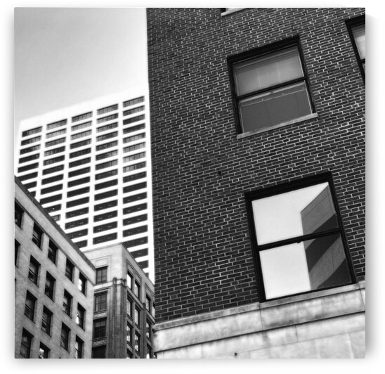 Looking Glass by Lisa Drew