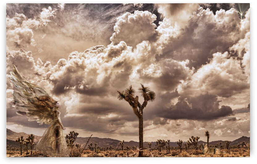 Handfull of Rain by Barbara Linkevitch