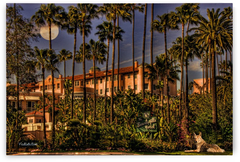 Validation by Barbara Linkevitch