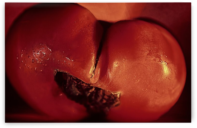 Dolores by Barbara Linkevitch