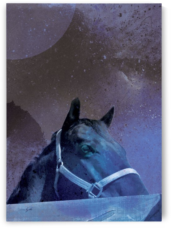 underthemoonlight by Anne Lizotte