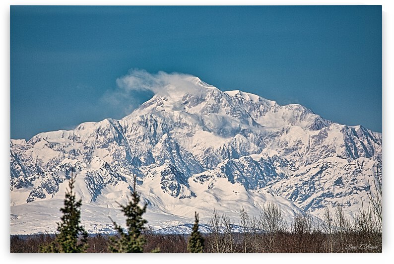 Denali on a bright blue day by Bruce Brown