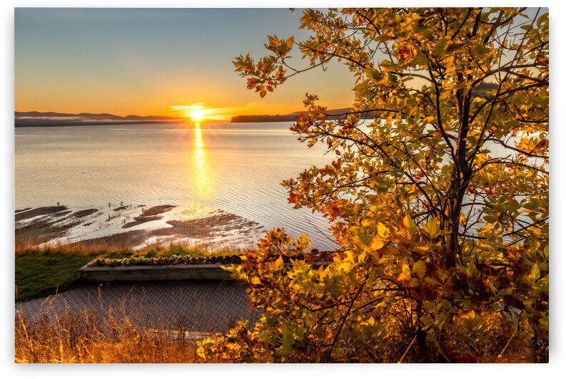No 94 Lever de soleil dautomne - Gaspe by Glenn Albert