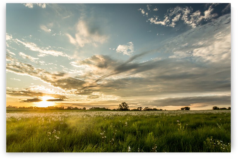 Nature Photography - Sunset Field - Busch Wildlife MO by Steve Alejandro