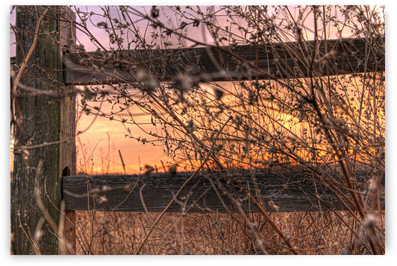 Nature Photography - Sunset at the Park - Quail Ridge Park MO by Steve Alejandro