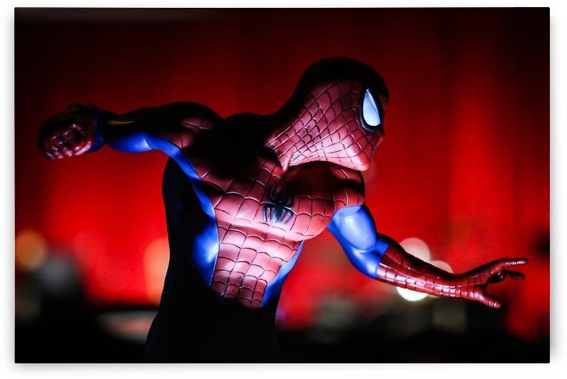 Nerd Cave Photography - Profile A La Spidey  by Steve Alejandro