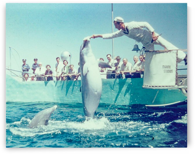 Found and Restored - Here Mammal Mammal  - Kodachrome by Steve Alejandro